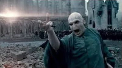 Quelle est la première personne tuée par Voldemort ?