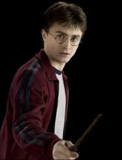 Harry était-il préfet de Gryffondor avec Hermione ?