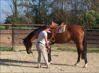 De quel ct monte t-on  cheval ?