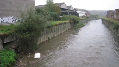 Quel fleuve traverse Bruxelles ?