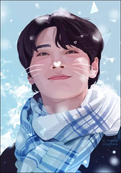 Choisis ton membre préféré de Stray Kids. (2/3)