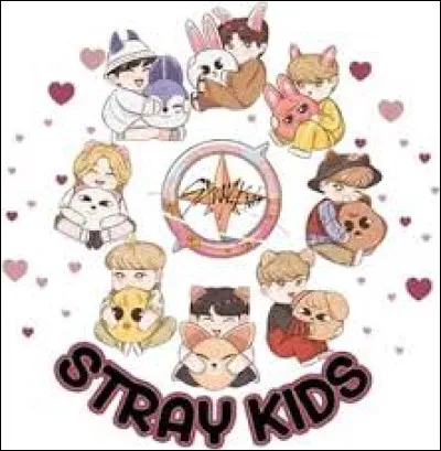Quelle devise de Stray Kids préfères-tu ?