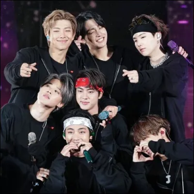 Comment se nomme leur fandom ?