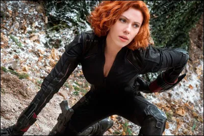 Comment Black Widow est-elle présentée à Tony Stark dans ''Iron Man 2'' ?