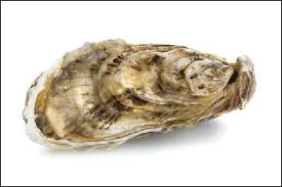 Arcachon, Bretagne, Normandie, Marennes, Méditerranée, ce sont les endroits où sont élevés ces délicieux coquillages, il s'agit de...