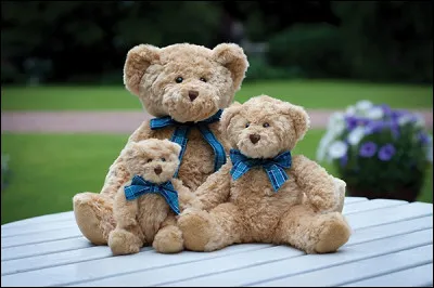 Qu'est-ce qu'un arctophile ?