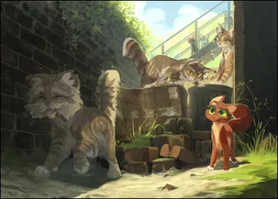 Comment était le pelage de Poil de Corbeau ?