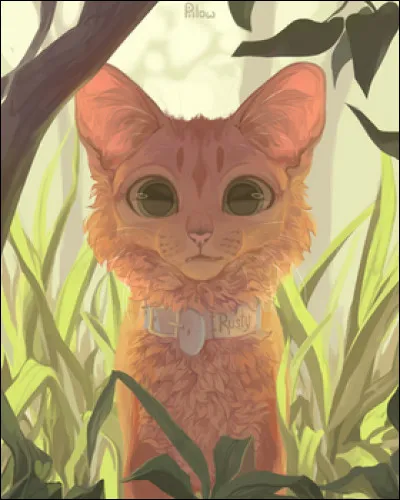 De quelle couleur sont les yeux de Pelage d'Or ?