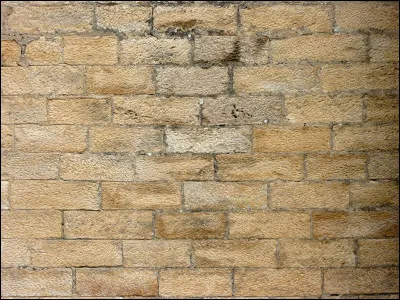 Cest au pied du mur quon voit le...