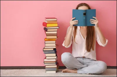 Quels sont les différents statuts que l'on peut mettre sur une histoire ?