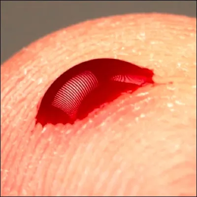 Quelle propriété physico-chimique a une valeur comprise entre 7,3 et 7,45 dans le cas du sang ?