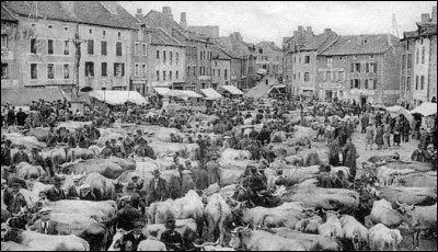 C'est à la fin de la foire qu'on compte les...