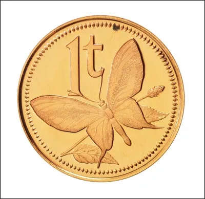 De quel pays cette pièce est-elle originaire ?