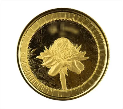 Dans quel pays peut-on trouver cette pièce ?