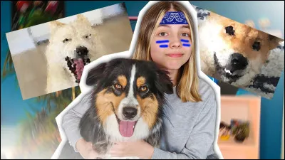 Comment s'appelle son animal de compagnie ?