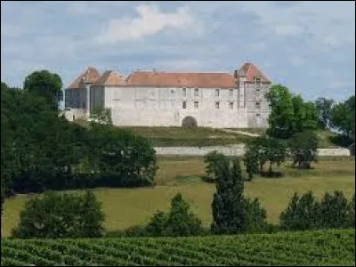 Je vous emmène à la découverte du château de Théobon, à Loubès-Bernac. Village de l'arrondissement de Marmande, il se situe dans le département ...