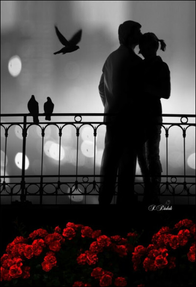 À qui doit-on la chanson "Les Vieux Mariés" dont les paroles sont " Maintenant qu'on est tous les deux, si l'on pensait à être heureux ♫" ?