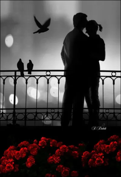 &Agrave; qui doit-on la chanson "Les Vieux Mari&eacute;s" dont les paroles sont " Maintenant qu'on est tous les deux, si l'on pensait &agrave; &ecirc;tre heureux ♫" ?