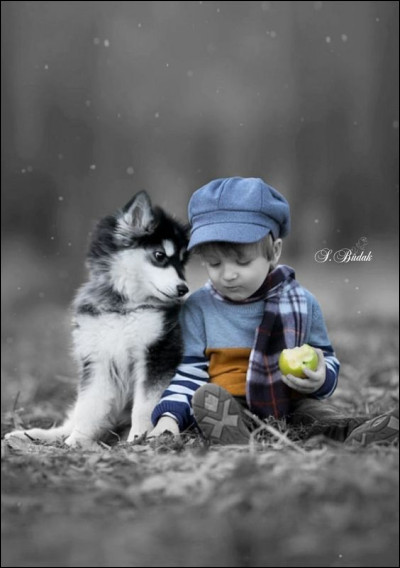 De qui parlait Hugues Aufray en chantant "♫ ♪ Pauvre... perdu dans la ville, y a des abris pour toi mon vieux, on a la conscience tranquille, mais quand on regarde tes yeux, on a le cur gros ?