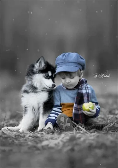 De qui parlait Hugues Aufray en chantant "♫ ♪ Pauvre... perdu dans la ville, y a des abris pour toi mon vieux, on a la conscience tranquille, mais quand on regarde tes yeux, on a le c�ur gros ?