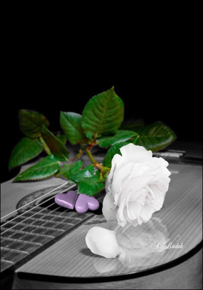 Et enfin par quels mots se termine la chanson de Daniel Guichard "Mon vieux" ?