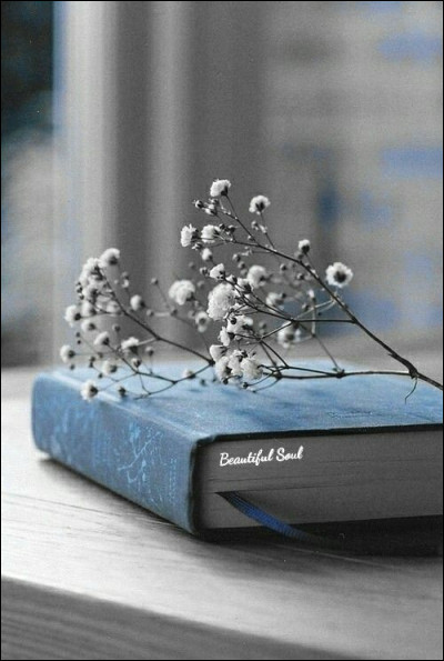 À qui doit-on le roman "La Vieille qui marchait dans la mer" ?