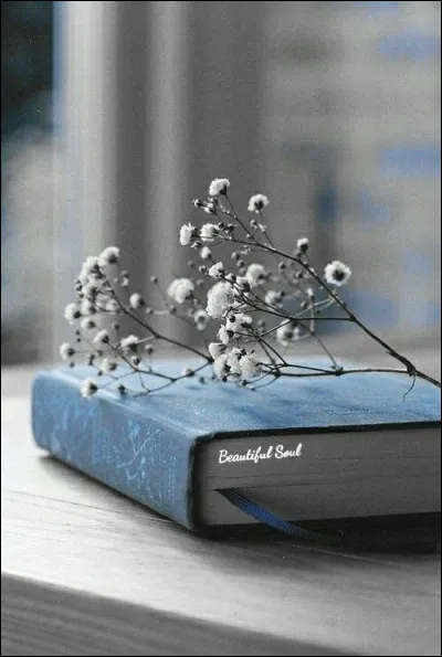 &Agrave; qui doit-on le roman "La Vieille qui marchait dans la mer" ?