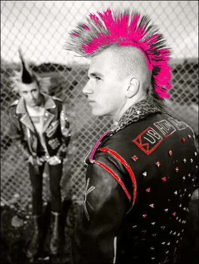 Qui chantait "♫ Nous, tout ce qu'on veut c'est &ecirc;tre heureux, &ecirc;tre heureux avant d'&ecirc;tre vieux" ?