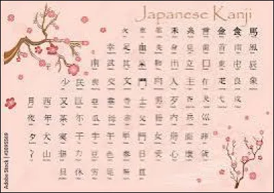 As-tu déjà essayé d'apprendre le japonais ?