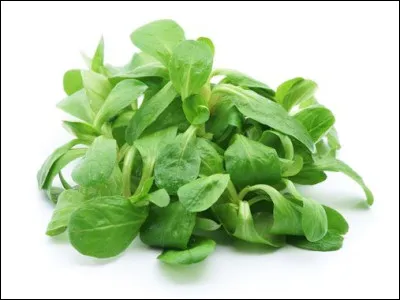 Le synonyme d'avalaige c'est...