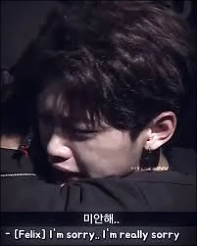 Qui a quitté Stray Kids après la formation du groupe ?