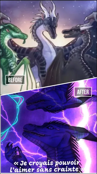 Il y a de la magie dans :