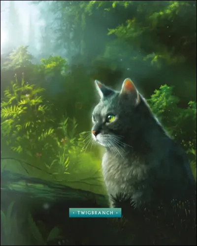 Qui sont ses chatons ?