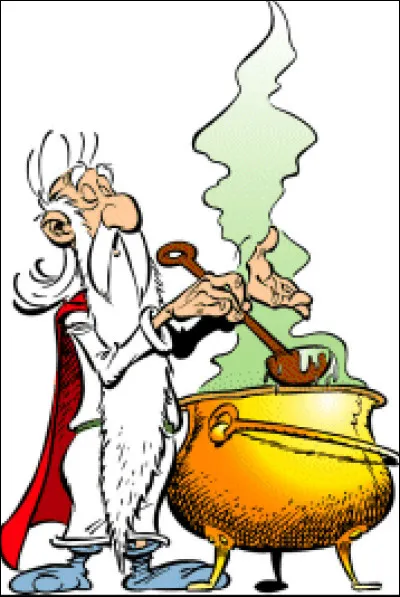 Qui est le druide du village ?