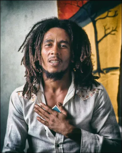 De quel groupe de musique Bob Marley a-t-il fait partie ?