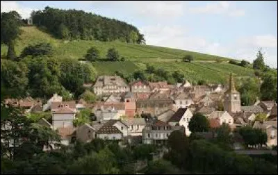 Village viticole de l'arrondissement de Beaune, Pernand-Vergelesses se situe en région ...