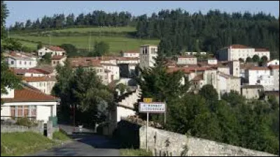 Village d'Auvergne-Rhône-Alpes, dans l'aire d'attraction Montbrisonnaise, Saint-Bonnet-le-Courreau se situe dans le département ...