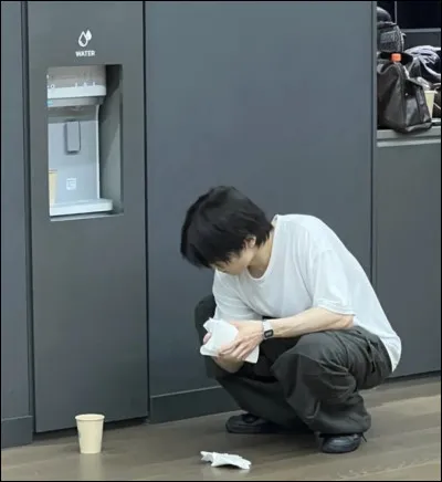 I.N est ambassadeur de...