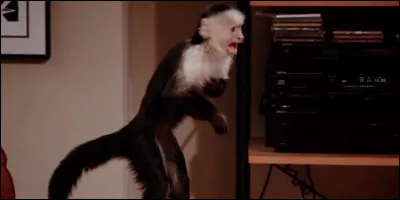 Comment s'appelle ce personnage ?