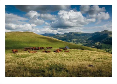 Alors que je me promenais sur les Monts du Cantal, je suis tombé nez à nez avec un buron. Qu'est-ce donc encore que ce truc ?