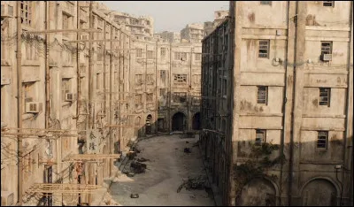 Il part ensuite en bateau avec Séverine, une femme rencontrée au casino de Macao, vers une île abandonnée, Hashima. Où se situe cette île ?