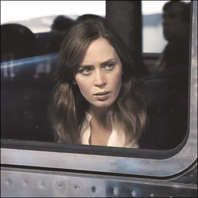 Quel est ce film de Tate Taylor sorti en 2016 ?