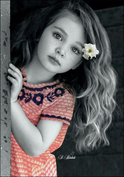 Qui chantait "♪ On a tous dans l'cur une petite fille oubliée, jupe plissée, queue de cheval à la sortie du lycée" ?