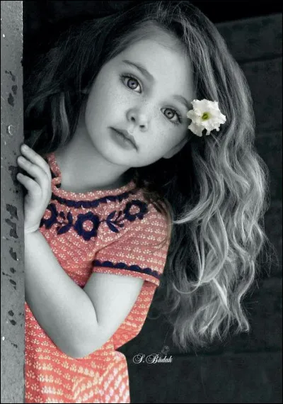 Qui chantait "♪ On a tous dans l'c�ur une petite fille oubli&eacute;e, jupe pliss&eacute;e, queue de cheval &agrave; la sortie du lyc&eacute;e" ?