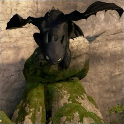 Dans le même temps Harold rend visite au dragon et une amitié se noue. Comment nomme-t-il le dragon ?