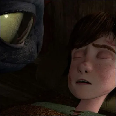 Harold se réveille dans sa maison avec Krokmou à ses côtés mais il a perdu un membre dans l'affrontement. Lequel ?