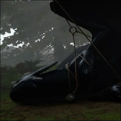 Comme personne ne le croit, c'est seul qu'il part à la recherche du dragon, un Furie Nocturne l'espèce la plus dangereuse. Mais une fois devant le lui il se rend compte qu'il est vivant.
Que fait-il ?