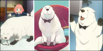 Quel est ce personnage de "Spy x Family" ?