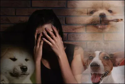 Comment appelle-t-on la peur des chiens ?