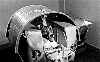 À quel âge Laïka, la première voyageuse de l'espace, est-elle décédée ?